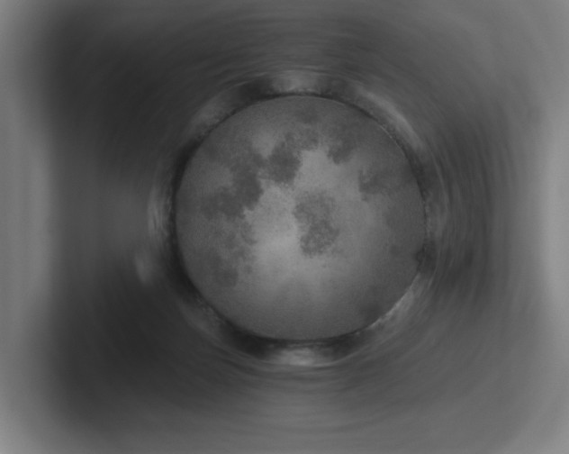 X0000102770171200808181136