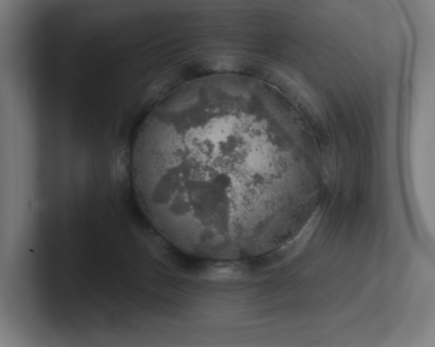 X0000102770175200808181137