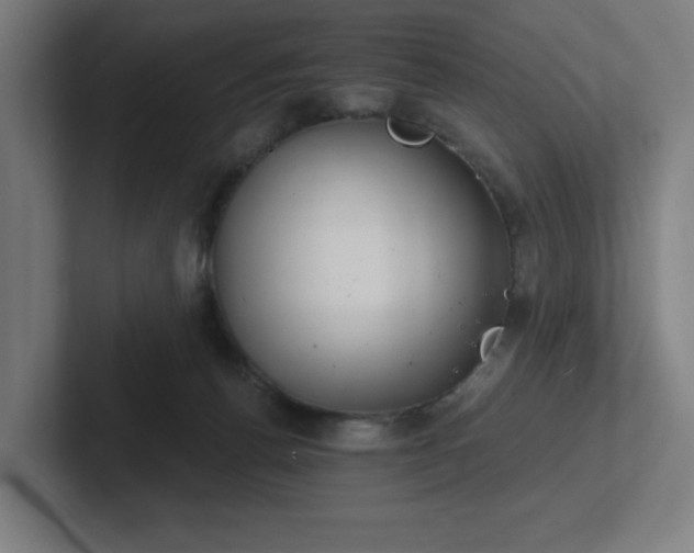 X0000102770176200808181137