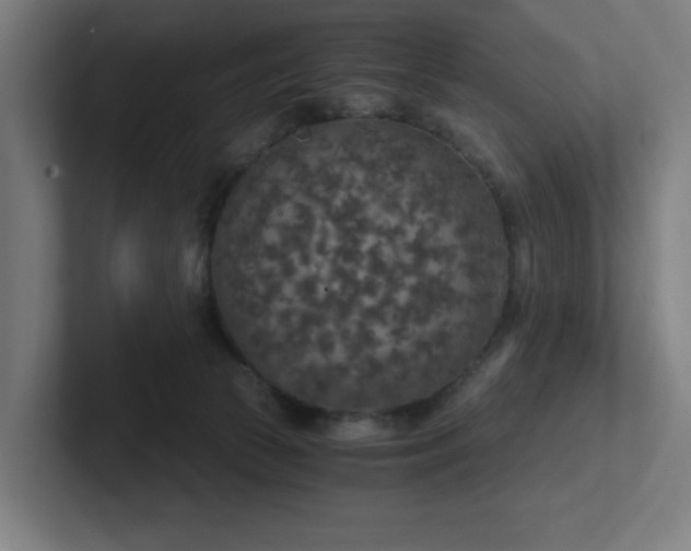 X0000102770177200808181137