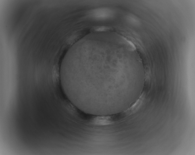 X0000102770179200808181137