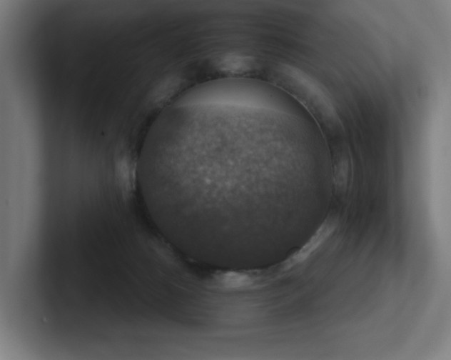 X0000102770180200808181137