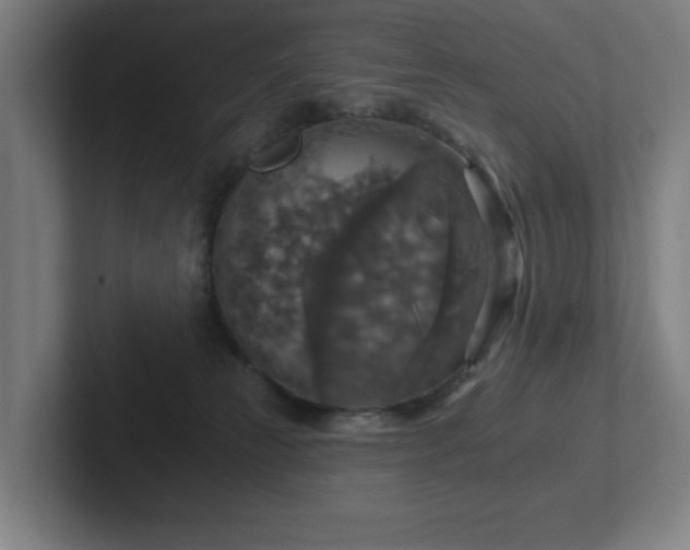 X0000102770181200808181137