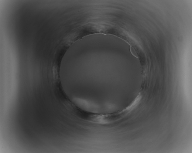 X0000102770182200808181137