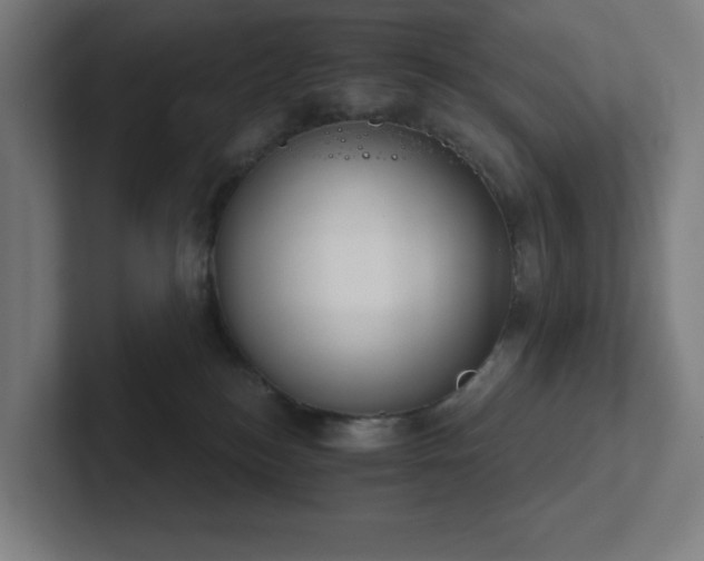 X0000102770184200808181137