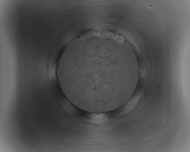 X0000102770185200808181137