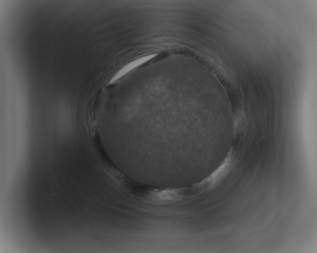 X0000102770186200808181137