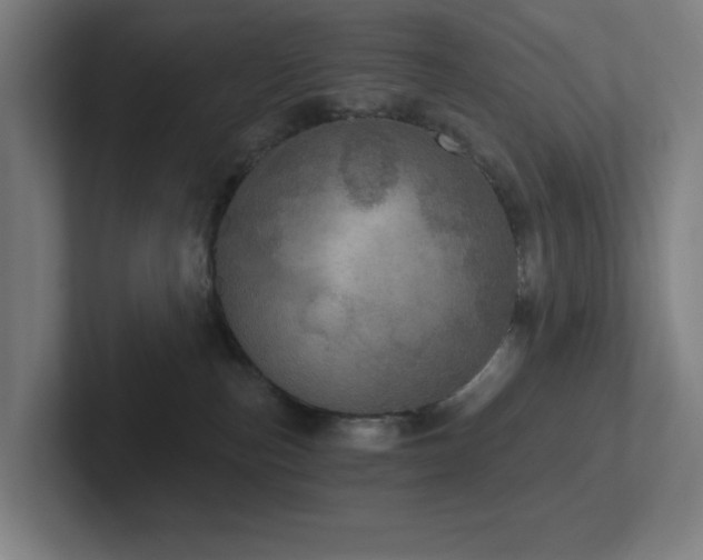 X0000102770187200808181137