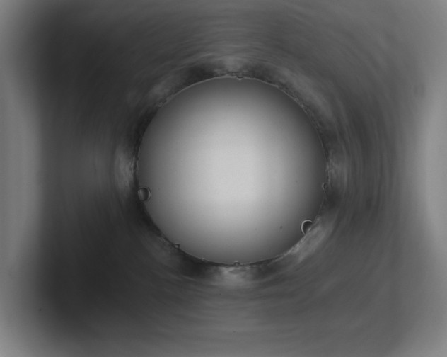 X0000102770188200808181137