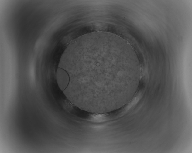 X0000102770189200808181137