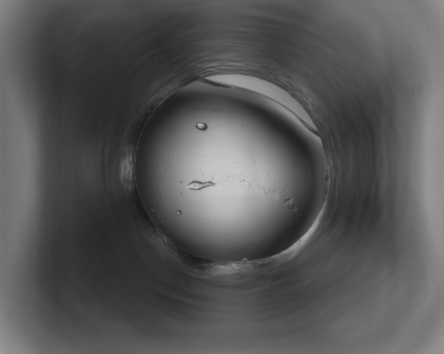 X0000102770190200808181137