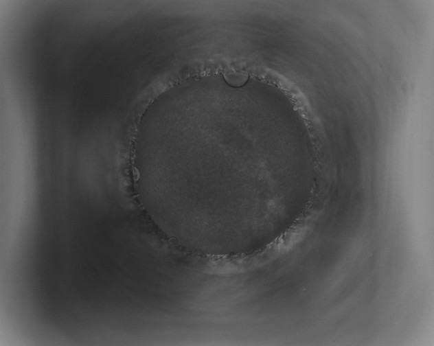 X0000102770192200808181137