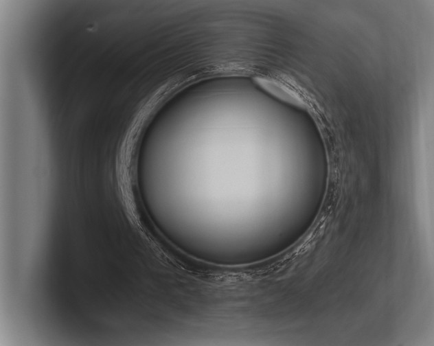 X0000102770193200808181136