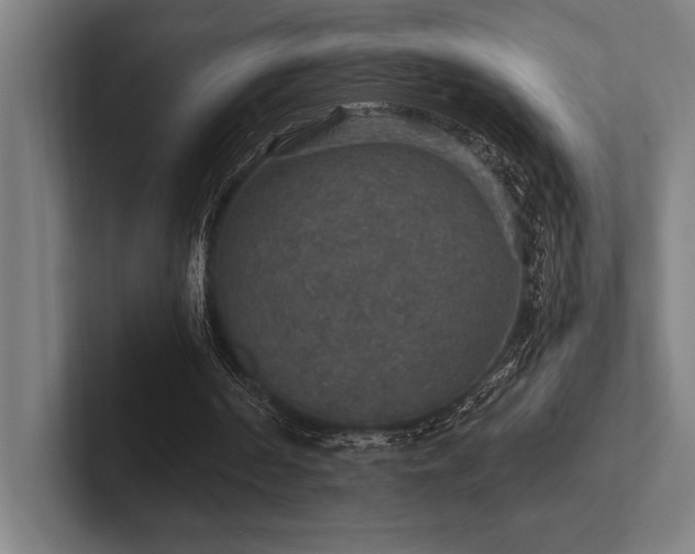 X0000102770194200808181136