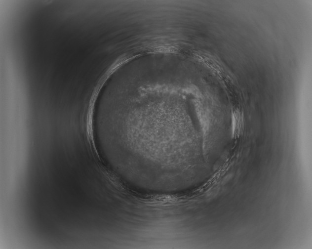 X0000102770195200808181136