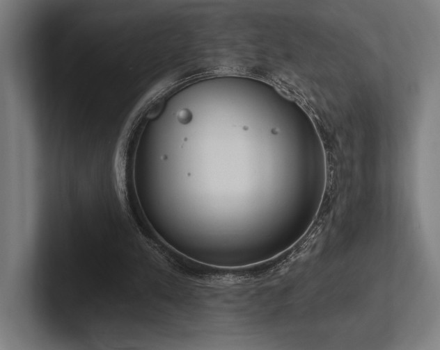 X0000102770197200808181136