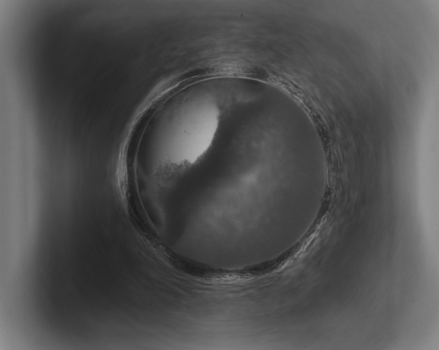 X0000102770198200808181136