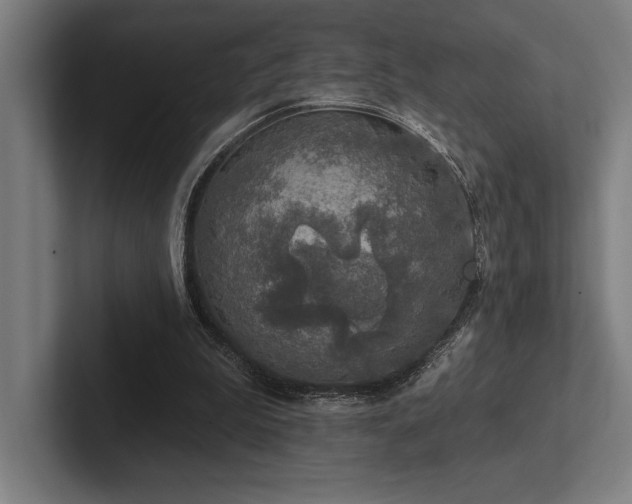 X0000102770199200808181136