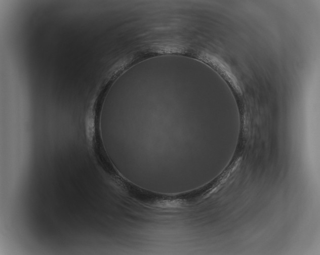 X0000102770202200808181136