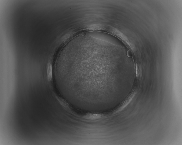 X0000102770205200808181136