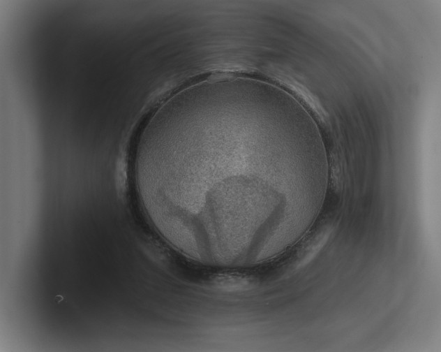 X0000102770207200808181136