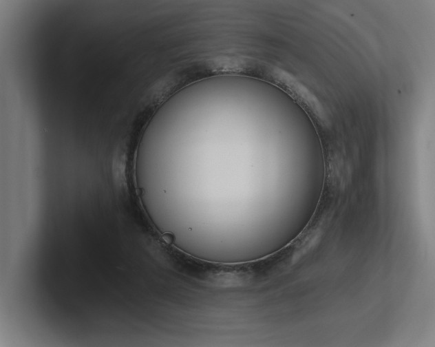 X0000102770209200808181136