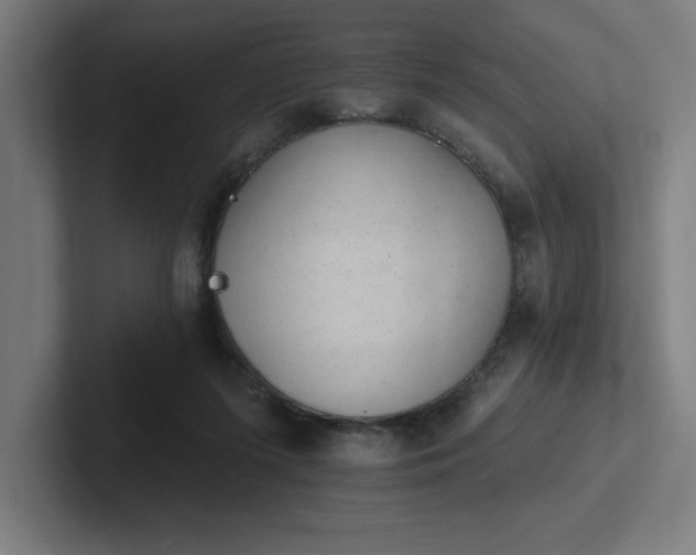 X0000102770215200808181136