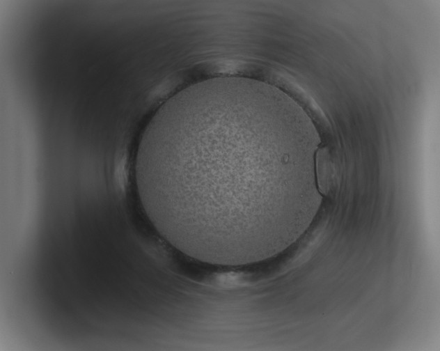 X0000102770216200808181136