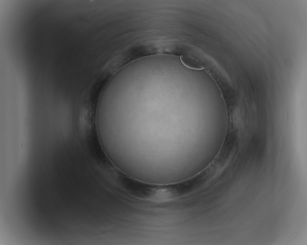 X0000102770218200808181136