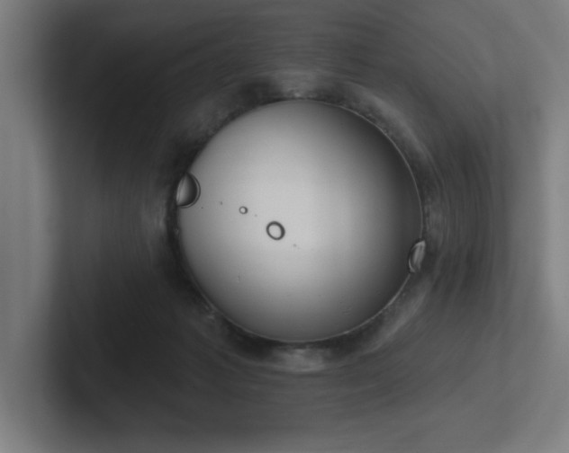 X0000102770221200808181136