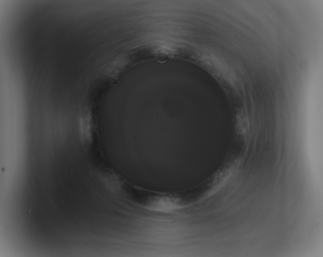 X0000102770223200808181136