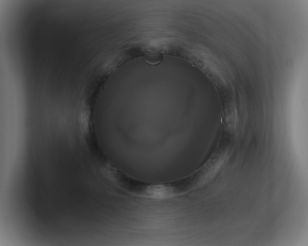 X0000102770231200808181136