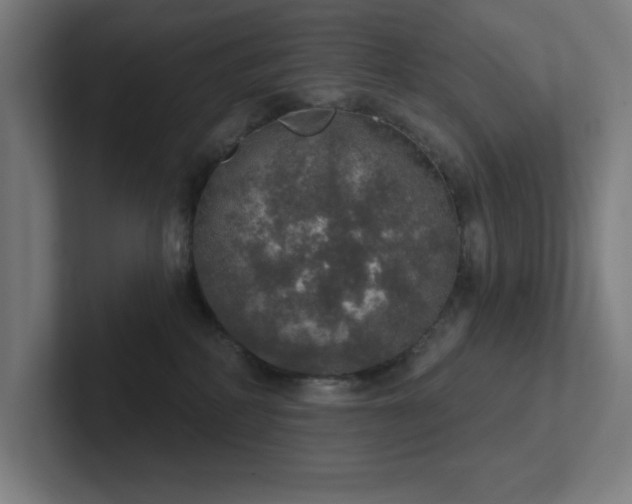 X0000102770234200808181136