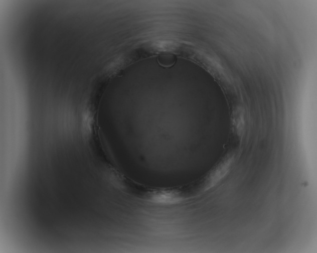 X0000102770235200808181136