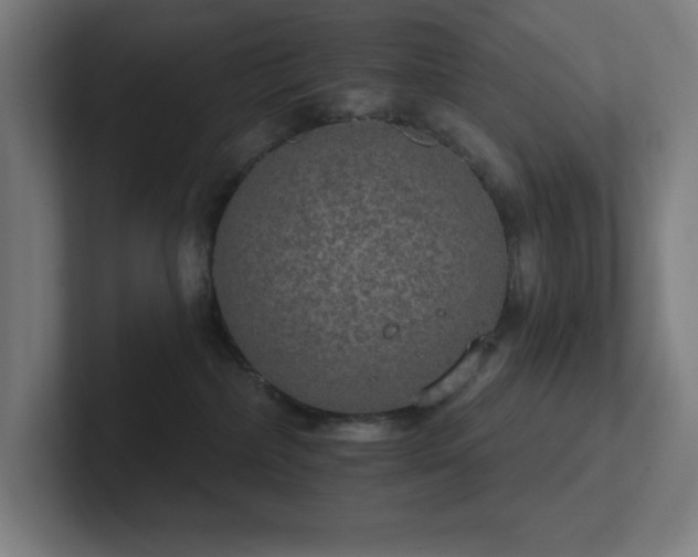 X0000102770236200808181136