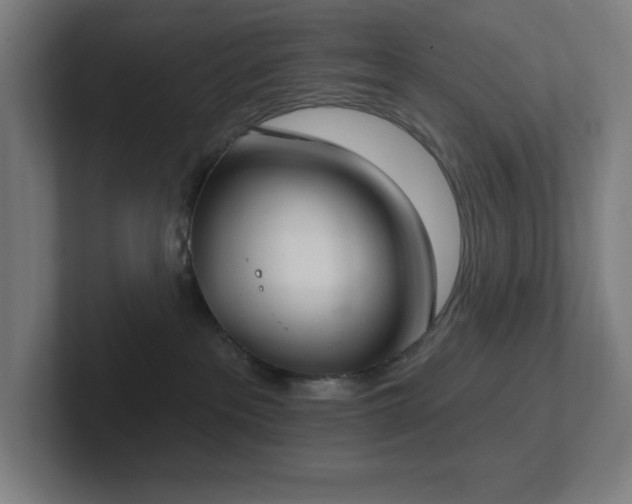 X0000102770237200808181136