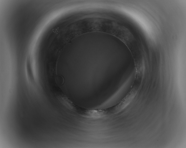 X0000102770239200808181135