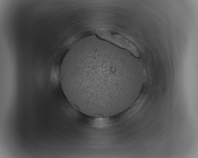 X0000102770240200808181135