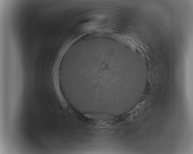 X0000102770241200808181135