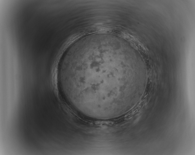 X0000102770242200808181135