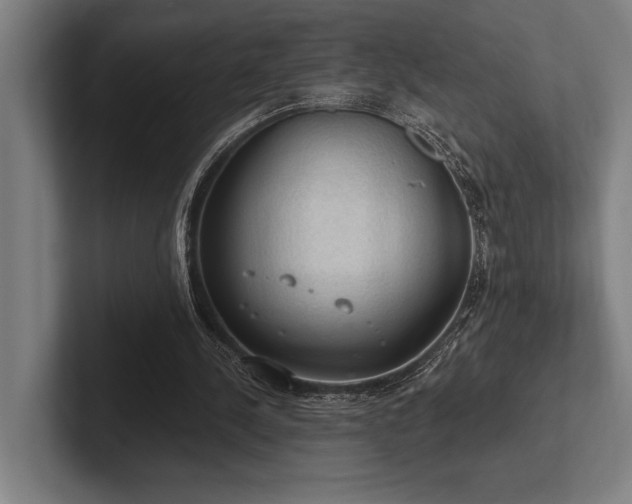 X0000102770244200808181135