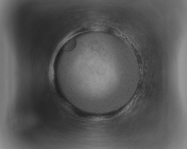 X0000102770246200808181135