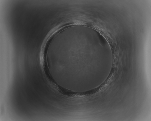 X0000102770247200808181135