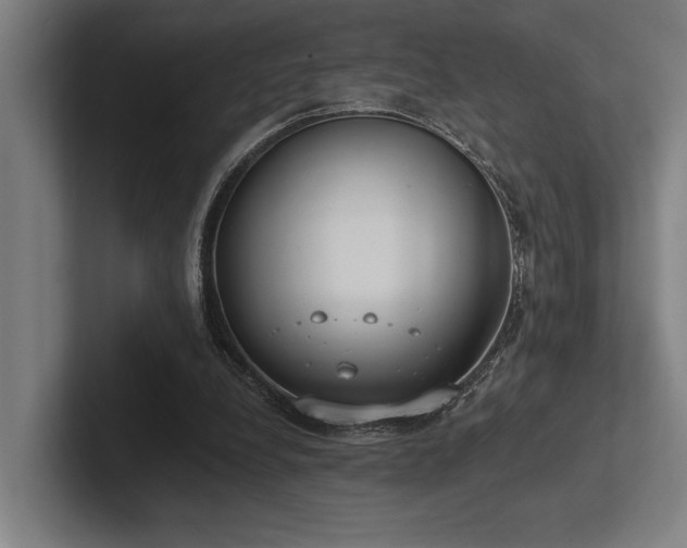 X0000102770248200808181135