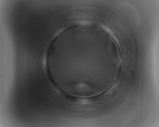 X0000102770249200808181135