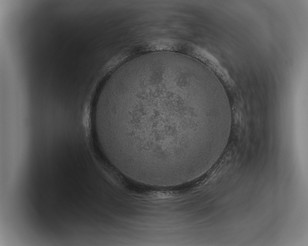 X0000102770250200808181135