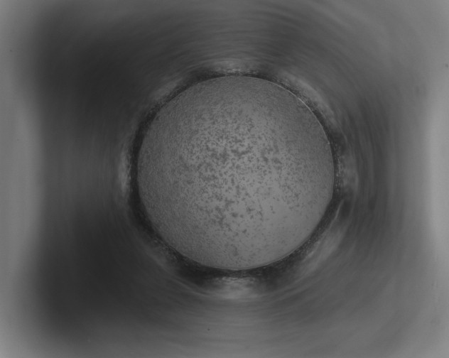 X0000102770255200808181135