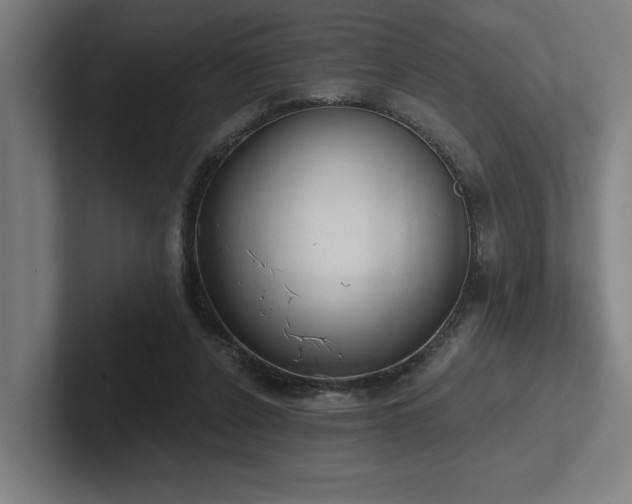 X0000102770256200808181135