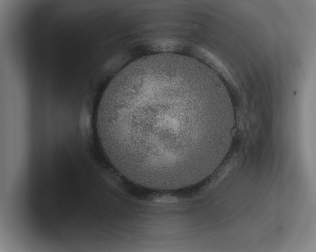 X0000102770258200808181135