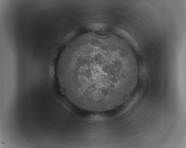 X0000102770259200808181135